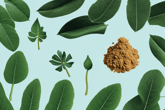 Fenugreek vs Maca: Which is Better for Gut Health?