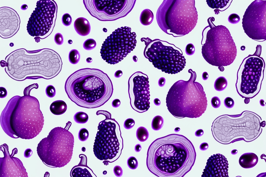 The Impact of Purple Polyphenols Powder on Gut Bacteria
