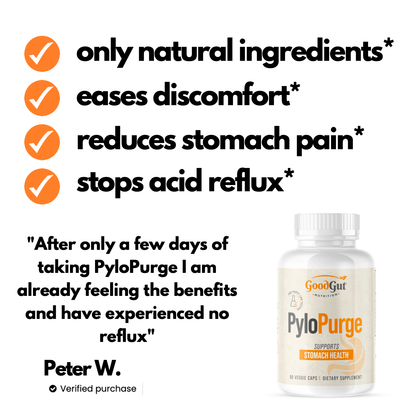 PyloPurge - Herbal Treatment For H Pylori Bacteria Stomach Health GoodGut Nutrition