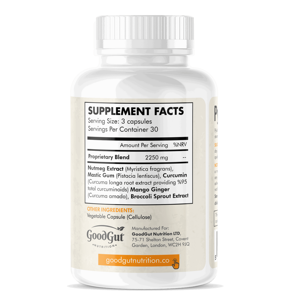 PyloPurge™ | Advanced H. Pylori Natural Treatment & Reflux Support ...