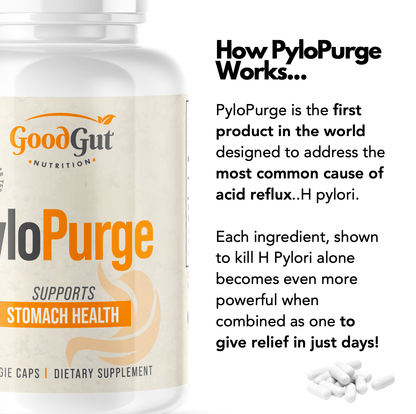 PyloPurge - Herbal Treatment For H Pylori Bacteria Stomach Health GoodGut Nutrition